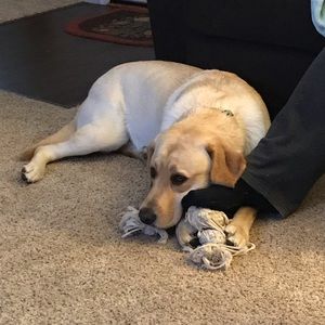 Meet your Posher, Renee